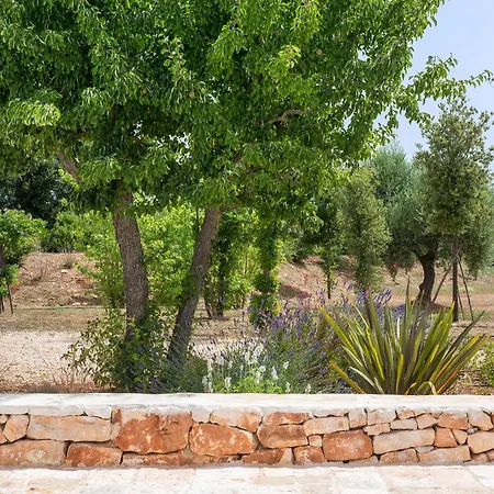 Helloapulia Trulli Olea Charme